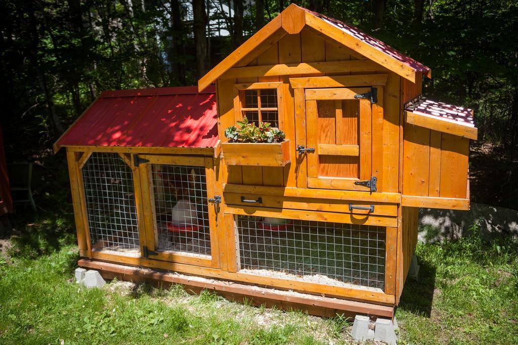 Bed and Breakfast La Chaumiere De L'Anse Mont-Tremblant Exterior foto
