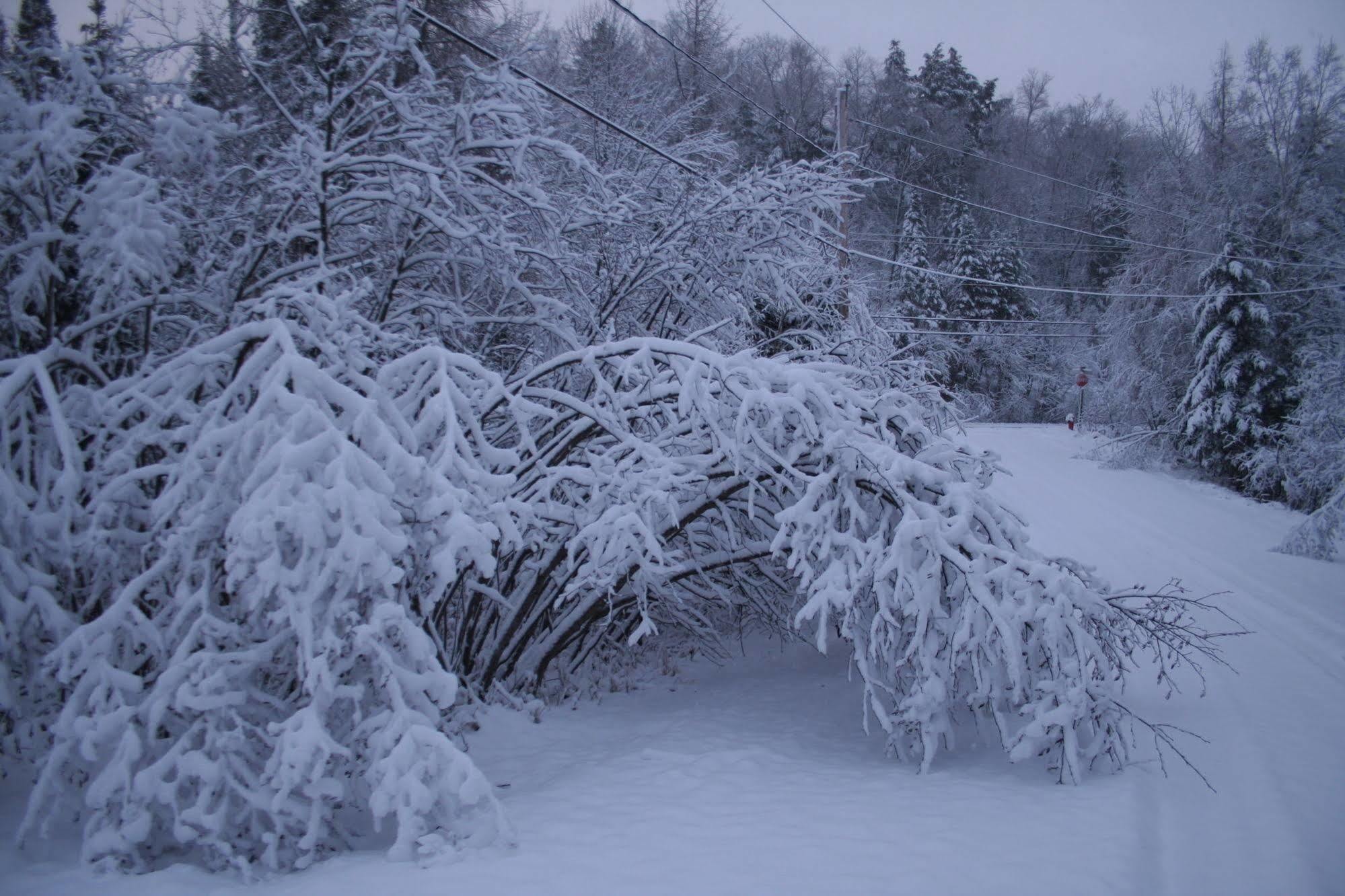 Bed and Breakfast La Chaumiere De L'Anse Mont-Tremblant Exterior foto